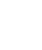 15-Year Industry Experience icon