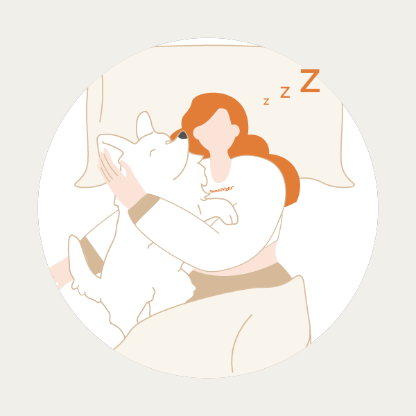My Quest for a Queen Bed Comfortable Bliss