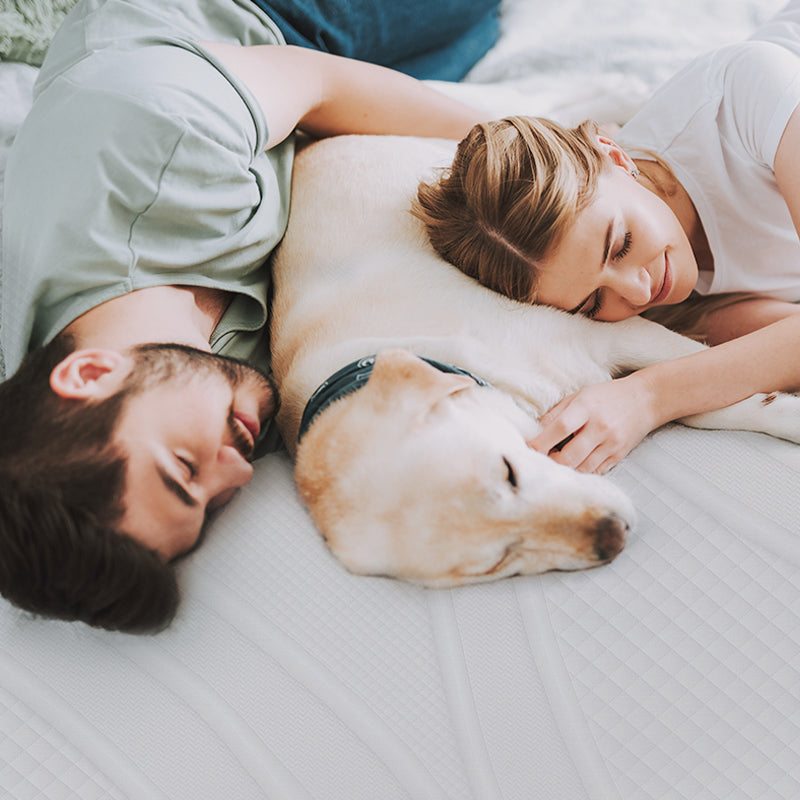 A man and a women sleeping with a dog representing motion isolation
