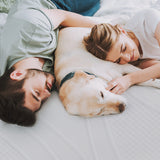 A man and a women sleeping with a dog representing motion isolation