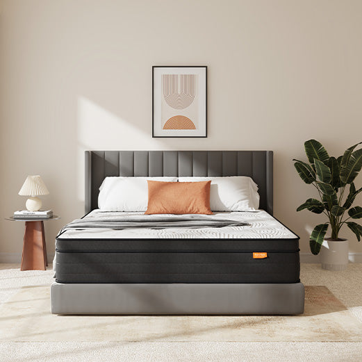 Good Mattresses for Back Problems: Doctor-Recommended Solutions 2025