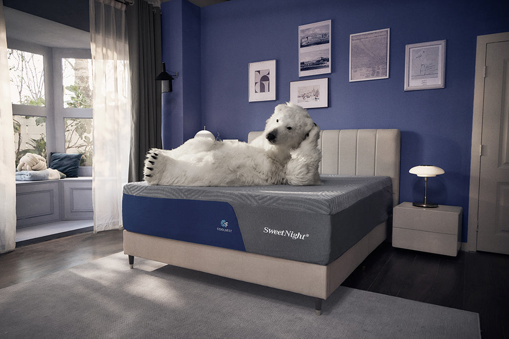 Why Eco-Friendly Sleep Is Drawing More Interest