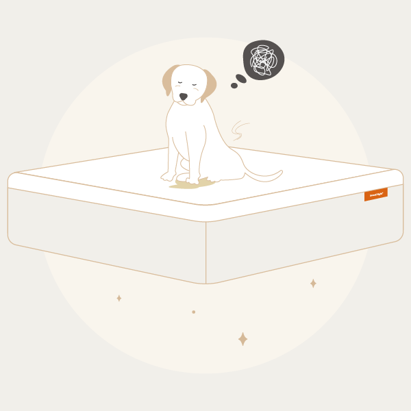 How to get pee out of a mattress
