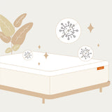 How to prevent mold on mattress and get mold off a mattress