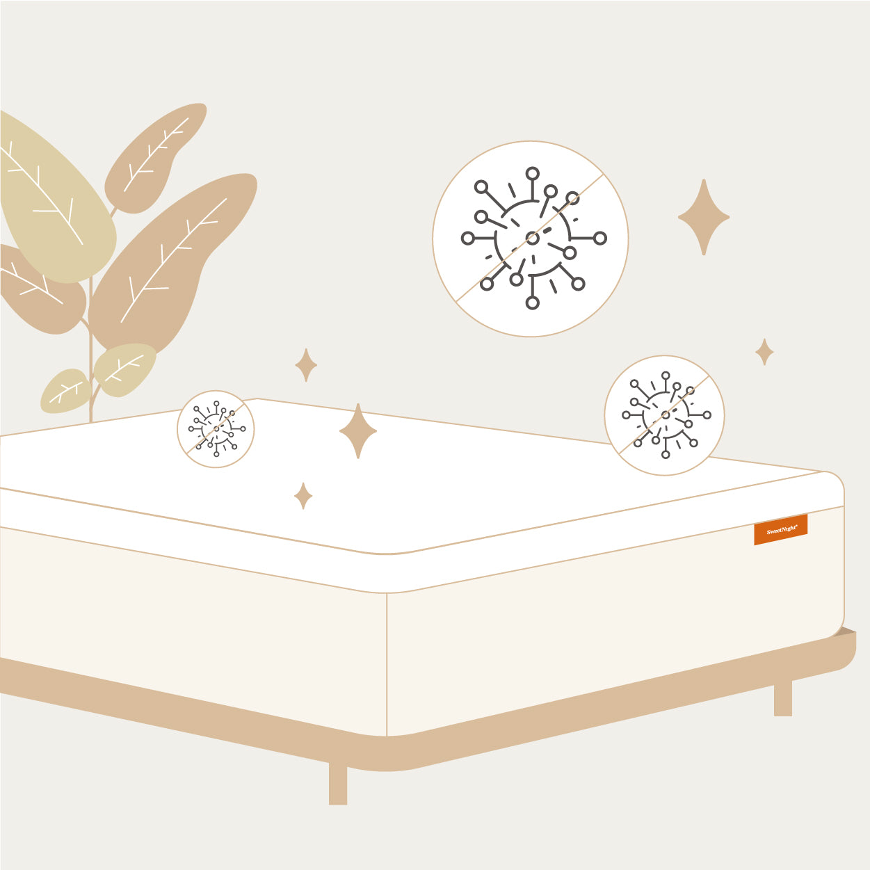 How to Prevent Mold on Mattress and Get Mold off a Mattress? SweetNight