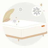 Bed Bugs & Mattress Covers: Protect Your Sleep Haven