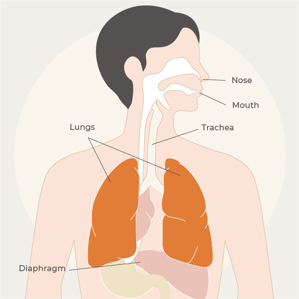 Mouth Breathing & How it Can Affect Your Health