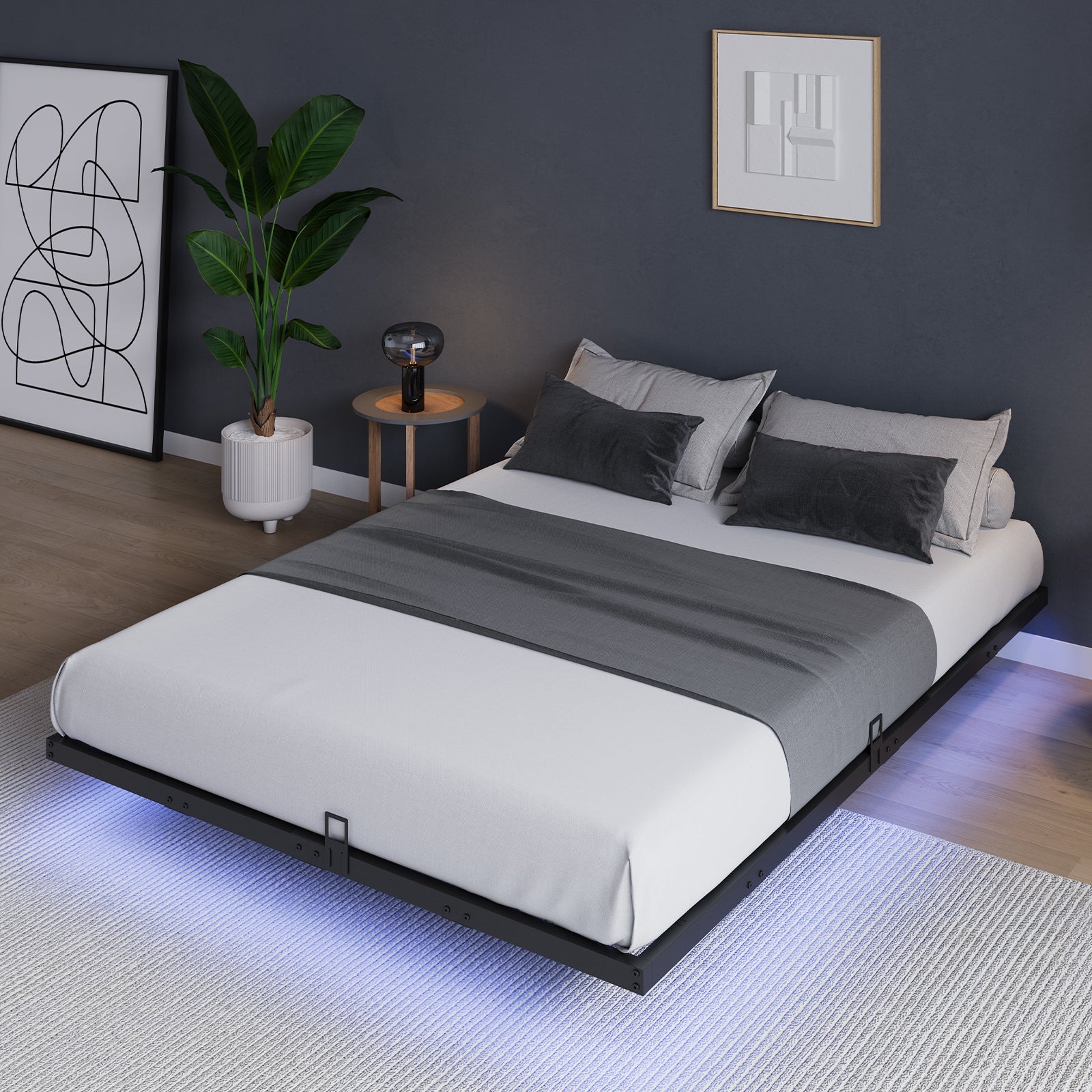 Floating Bed Frame with LED Lights