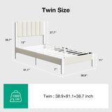#Size_Twin