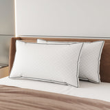 A Comfort Pillow 2-Pack | Sweetnight