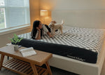 A smiling woman lying on a Sweet Night mattress playfully interacting with her small dog.